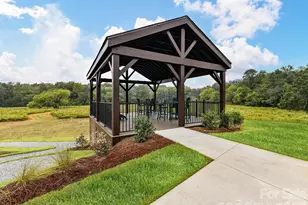 254 Alluvium Ln, Waxhaw, NC 28173 - Photo 29