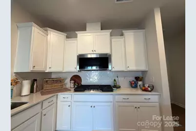 15107 Nichols Hall Drive, Charlotte, NC 28273 - Photo 7