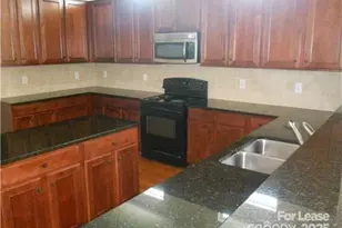 8536 Sagekirk Ct, Charlotte, NC 28278 - Photo 3