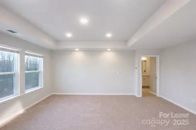 209 Alluvium Lane, Waxhaw, NC 28173 - Photo 11