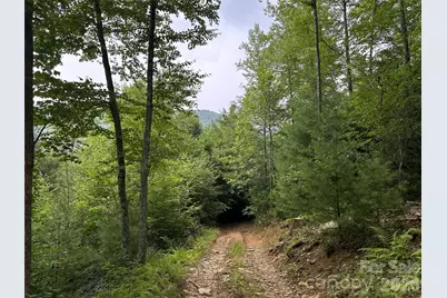 Tbd Nc Highway 194 None S, Sugar Grove, NC 28679 - Photo 25