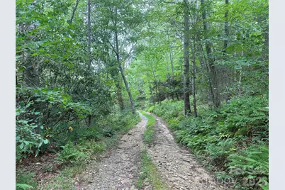 Tbd Nc Highway 194 None S, Sugar Grove, NC 28679 - Photo 27