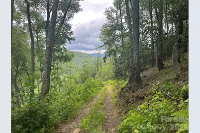 Tbd Nc Highway 194 None S, Sugar Grove, NC 28679 - Photo 7