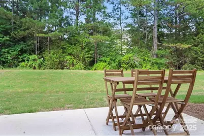 13529 Browhill Lane, Charlotte, NC 28278 - Photo 15
