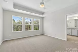 258 Alluvium Ln, Waxhaw, NC 28173 - Photo 17