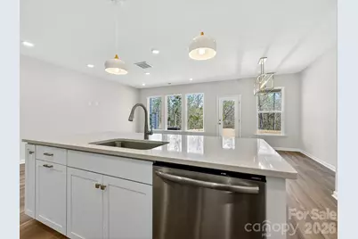 258 Alluvium Lane, Waxhaw, NC 28173 - Photo 9