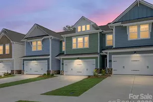 258 Alluvium Ln, Waxhaw, NC 28173 - Photo 27