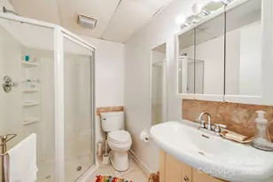 31 Covewood Rd, Asheville, NC 28805 - Photo 33