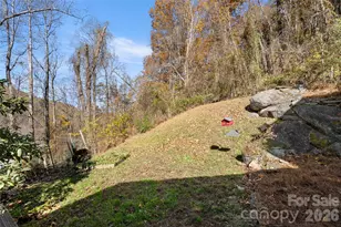 571 Terrys Gap Rd, Fletcher, NC 28732 - Photo 17