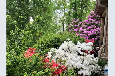 571 Terrys Gap Road, Fletcher, NC 28732 - Photo 43