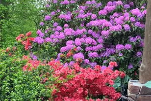 571 Terrys Gap Rd, Fletcher, NC 28732 - Photo 41