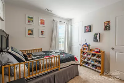 224 Final Stretch Lane, Clover, SC 29710 - Photo 19