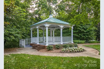 294 Elis Way, Fort Mill, SC 29708 - Photo 41