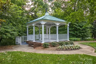 294 Elis Way, Fort Mill, SC 29708 - Photo 41