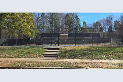 294 Elis Way, Fort Mill, SC 29708 - Photo 31