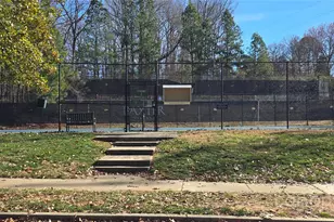 294 Elis Way, Fort Mill, SC 29708 - Photo 31