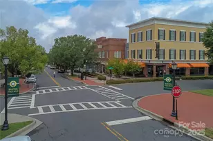 294 Elis Way, Fort Mill, SC 29708 - Photo 35