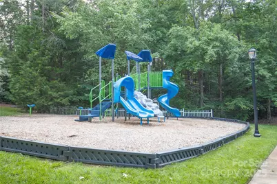 294 Elis Way, Fort Mill, SC 29708 - Photo 43