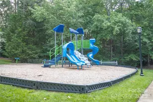 294 Elis Way, Fort Mill, SC 29708 - Photo 43