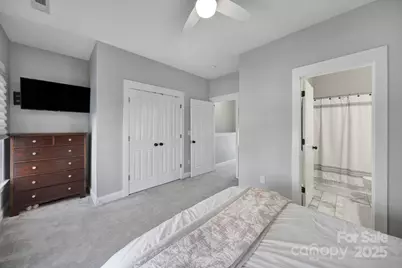 294 Elis Way, Fort Mill, SC 29708 - Photo 19