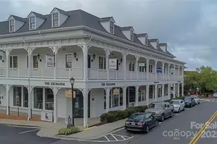 294 Elis Way, Fort Mill, SC 29708 - Photo 33