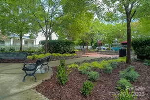 294 Elis Way, Fort Mill, SC 29708 - Photo 39