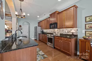 1004 Bimelech Dr, Indian Trail, NC 28079 - Photo 15