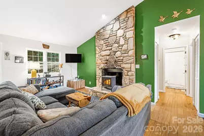 741 Three Mile Knob Road, Pisgah Forest, NC 28768 - Photo 9