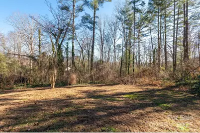 290 Crabapple Hill Lane, Hendersonville, NC 28792 - Photo 37