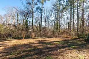 290 Crabapple Hill Ln, Hendersonville, NC 28792 - Photo 37