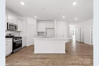 1080 Mapletree Lane, Indian Trail, NC 28079 - Photo 3