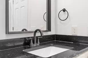 409 S Lyles Ave, Landrum, SC 29356 - Photo 21