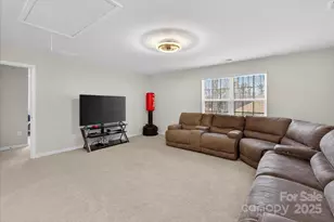 13017 Cinnamon Fern Ln, Mint Hill, NC 28227 - Photo 25