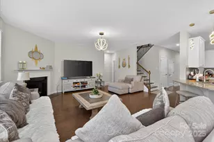 13017 Cinnamon Fern Ln, Mint Hill, NC 28227 - Photo 19