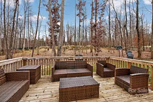 13017 Cinnamon Fern Ln, Mint Hill, NC 28227 - Photo 43