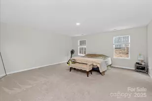 13017 Cinnamon Fern Ln, Mint Hill, NC 28227 - Photo 27