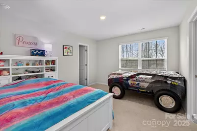 13017 Cinnamon Fern Lane, Mint Hill, NC 28227 - Photo 33