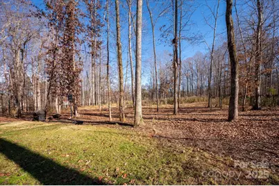 13017 Cinnamon Fern Lane, Mint Hill, NC 28227 - Photo 39