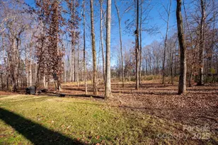 13017 Cinnamon Fern Ln, Mint Hill, NC 28227 - Photo 39