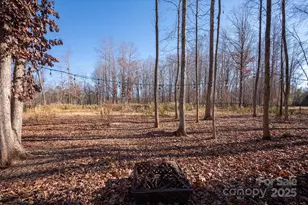 13017 Cinnamon Fern Ln, Mint Hill, NC 28227 - Photo 45