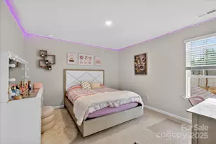 13017 Cinnamon Fern Ln, Mint Hill, NC 28227 - Photo 37