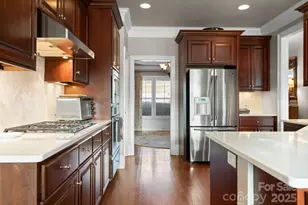 18504 Carnegie Overlook Blvd, Davidson, NC 28036 - Photo 19