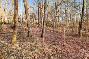 9501 Bartlett Rd, Mint Hill, NC 28227 - Photo 15