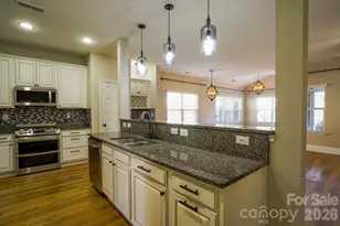 2009 Orby Ave, Indian Trail, NC 28079 - Photo 7