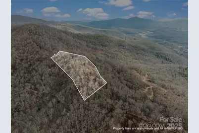 000 Christian Creek Road, Swannanoa, NC 28778 - Photo 1