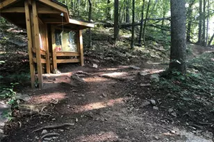 111 Buckeye Rd, Lake Lure, NC 28746 - Photo 47