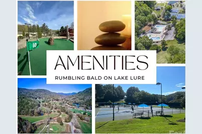 111 Buckeye Road, Lake Lure, NC 28746 - Photo 41