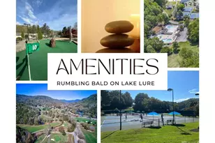 111 Buckeye Rd, Lake Lure, NC 28746 - Photo 41