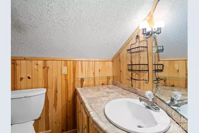 111 Buckeye Road, Lake Lure, NC 28746 - Photo 19