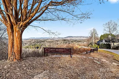 646 High Quarry Road, Hendersonville, NC 28791 - Photo 39